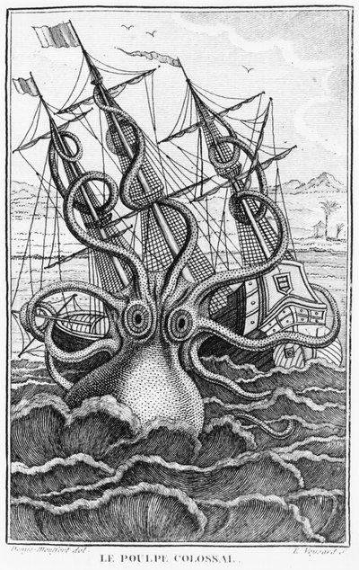 Reuzenoctopus, illustratie uit L