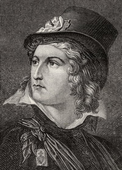 Henri du Vergier, Graaf de la Rochejaquelin, uit 