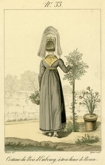 Illustratie nr. 33, Kostuum van Bois d