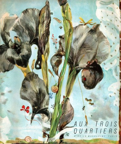 Iris (bloem). (Illustratie, circa 1920) door French School