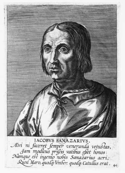 Jacopo Sannazaro (gravure) door French School