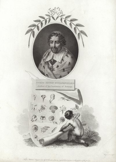 Joseph Pitton de Tournefort door French School
