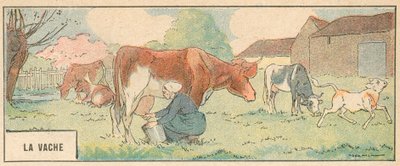 La Vache door French School