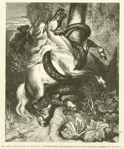 Het grote witte paard van de prairies door French School