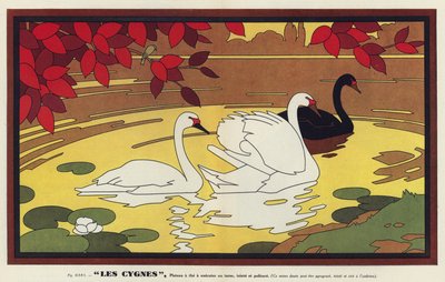 Les Cygnes, Zwanen (kleurenlitho) door French School