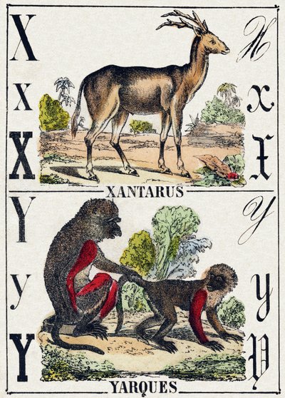 Letter X Xantarus; Y Yarques. Gravure in "Alphabet des animaux sauvages". 9e Serie. Beeld van Epinal, Pellerin, drukker-uitgever, circa 1870. Gravures op hout, gestencild. 16 pagina