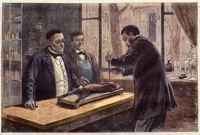 Louis Pasteur (1822-1895), Franse chemicus en microbioloog, experimenteert op een chloroformkonijn tijdens zijn zoektocht naar een remedie tegen hondsdolheid door French School