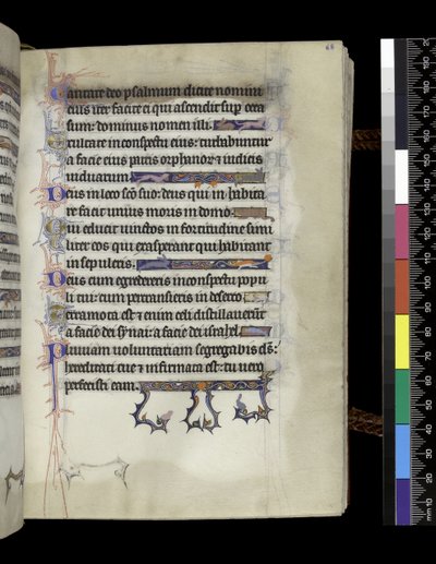 MS 300 f.68r, folio uit het Psalter en de Getijden van Isabella van Frankrijk, Parijs, c.1265-70 door French School