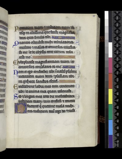 Uit de Psalter en Uren van Isabella van Frankrijk door French School