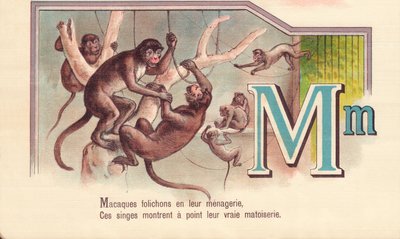 M: Makaak folders in hun menagerie, Deze apen tonen hun ware sluwheid door French School