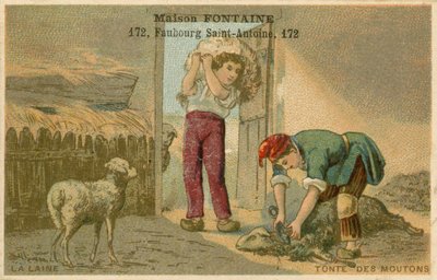 Maison Fontaine handelskaart, schapen scheren door French School