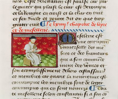 Ms.Fr.22532 Fol.118 Melaatse, uit Le Livre des Propriétés des Choses door Barthelemy l