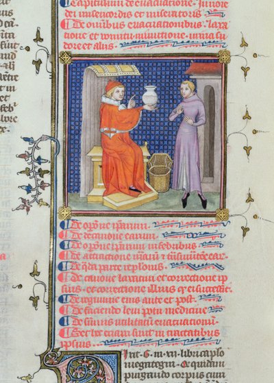 Een dokter die een urineanalyse uitvoert, uit een manuscript van Rhazes (Ibn Zakariya) (860-ca.923) door French School