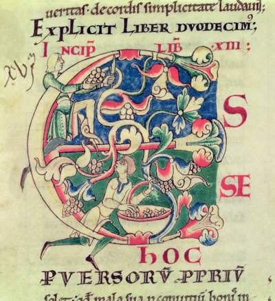 Ms 173 f.32 Geïllustreerde initiaal E die de druivenoogst afbeeldt, uit Moralia in Job door paus Gregorius de Grote door French School