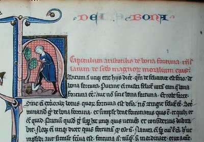 Ms 3458 Geïllustreerde initiaal 