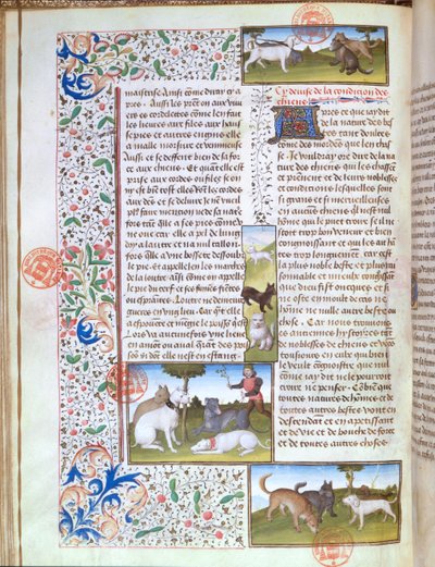 Jachthonden, uit het Livre de la Chasse door Gaston Phebus de Foix door French School