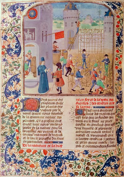 Werken in de wijngaard, uit Livre des Prouffitz Champestres door Pietro de Crescenzi (1230-1321) door French School