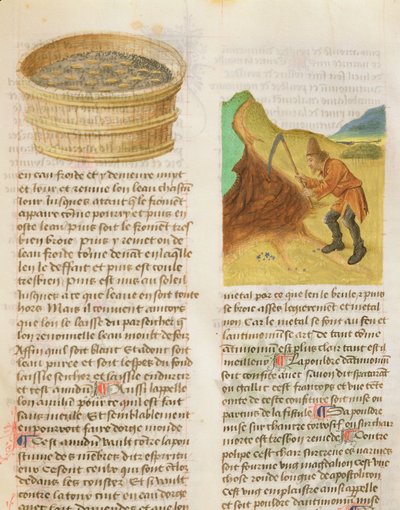 Ms. De Diversis Herbis door Dioscorides, fol.8r Zaden in een Kuip en Zoeken naar Gentiaanwortels door French School