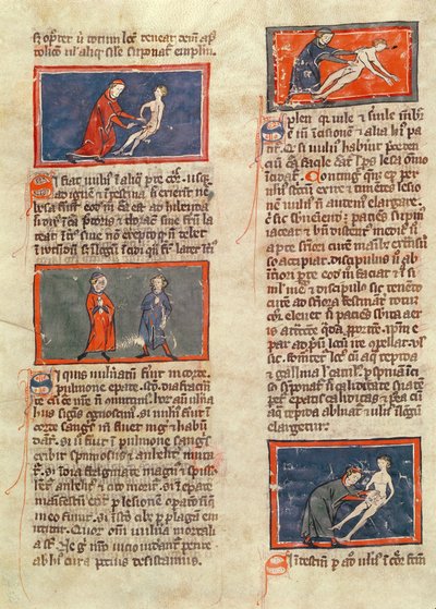 Ms H 89 fol.21v Anatomische figuren, uit een editie van 