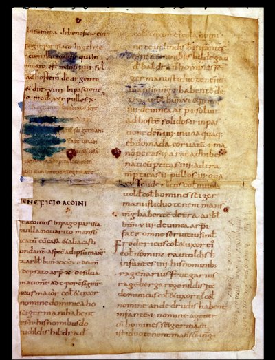 Ms Lat 12832 Fol.A Inventaris van Karolingisch eigendom, uit het Polyptych van de abt Irminon van Saint-Germain-des-Prés door French School