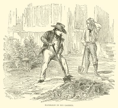 Napoleon in zijn tuin door French School