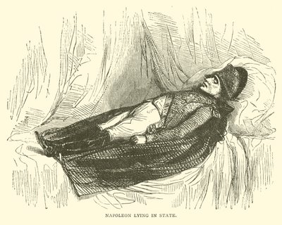 Napoleon opgebaard (gravure) door French School