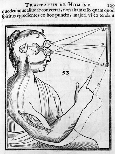 Oftalmologie: het oog en het zicht. Uit 