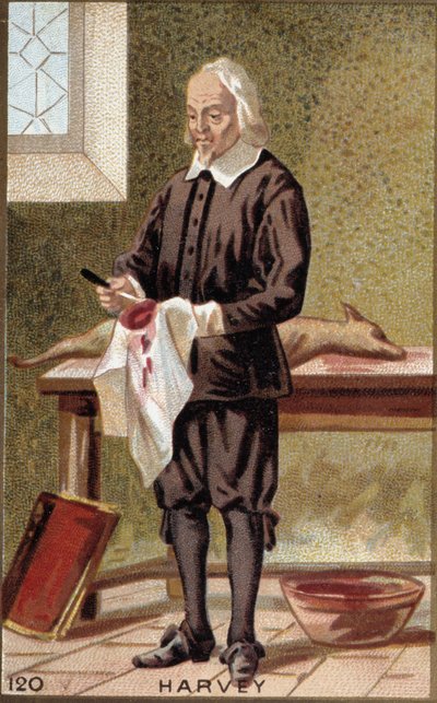 Portret van William Harvey (1578-1657), Engelse arts door French School
