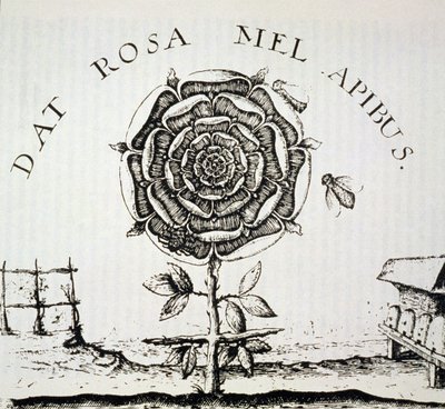 Rozenkruisers Allegorie, kopie van een gravure door Johann Theodore de Bry (c.1598), gebruikt in Geschiedenis van de Magie, gepubliceerd eind 19e eeuw door French School