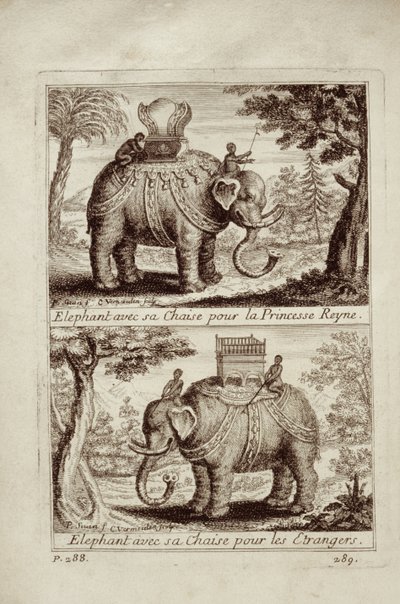Koninklijke olifanten, uit Voyage du Siam des Peres Jesuites door Guy Tachard, 1688 door French School