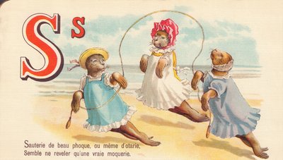S: Sauté van mooie zeehond, of zelfs van zeehonden, lijkt alleen een echte spot te onthullen door French School