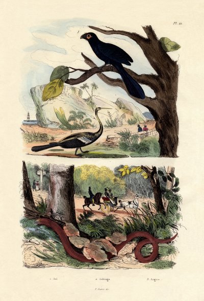 Gladbekani, 1833-39 door French School