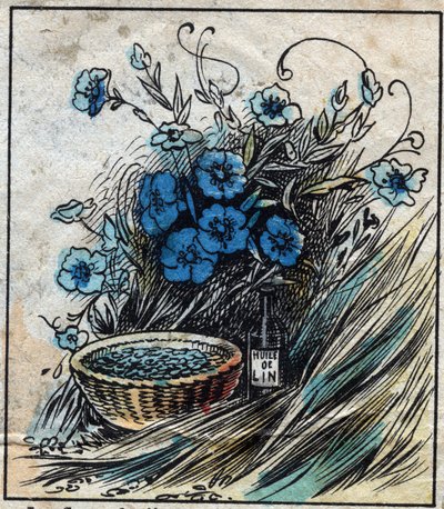Textiel, linnen. Vlasbloem (blauw), stengel samengesteld uit stro en filamenten om linnen garen te maken. Zaad gebruikt in de geneeskunde en waarvan olie wordt gewonnen voor de industrie. Gravure. door French School
