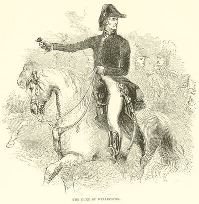 De hertog van Wellington (gravure) door French School