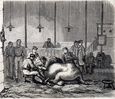 De Nationale Veterinaire School van Alfort - Les grandes écoles de France - École vétérinaire de Maison-Alfort in 1866 - de dissectiezaal - Gravure in 