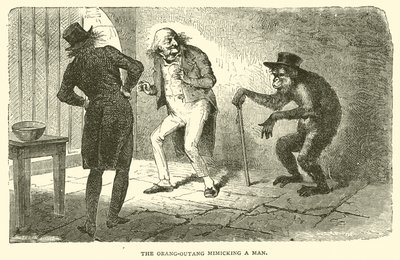 De Orang-Outang die een Man nadoet (gravure) door French School