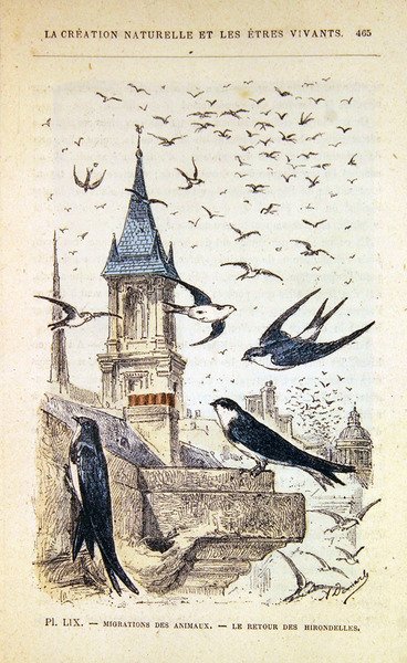 De Terugkeer van de Zwaluwen, ca. 1880 door French School