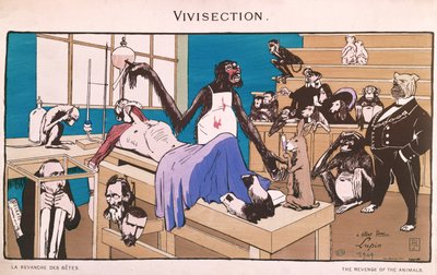 De wraak van de dieren, karikatuur van vivisectie, 1909 door French School