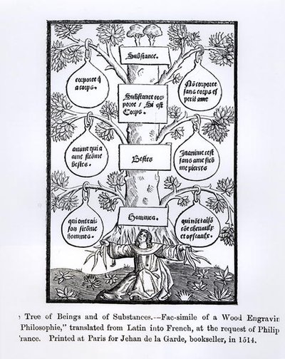 De boom van wezens en substantie, gedrukt in 1514, illustratie uit Wetenschap en Literatuur in de Middeleeuwen en Renaissance, geschreven en gegraveerd door Paul Lacroix, 1878 door French School