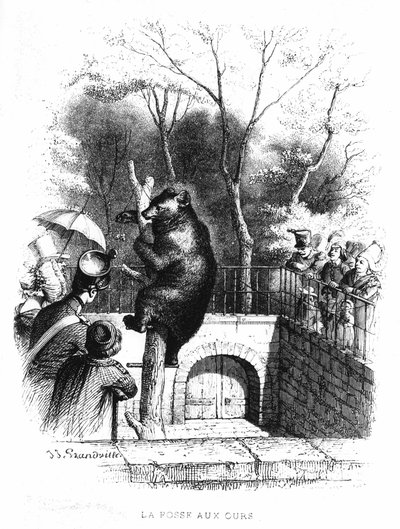 De berenkuil van de plantentuin in Parijs - gravure door French School