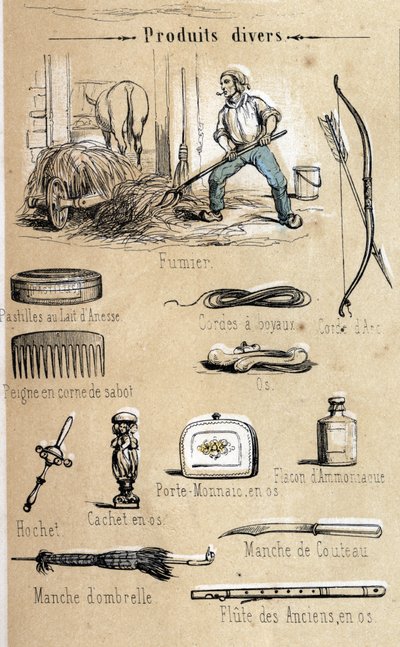 De ezel en zijn producten, gravure uit 1860 in 