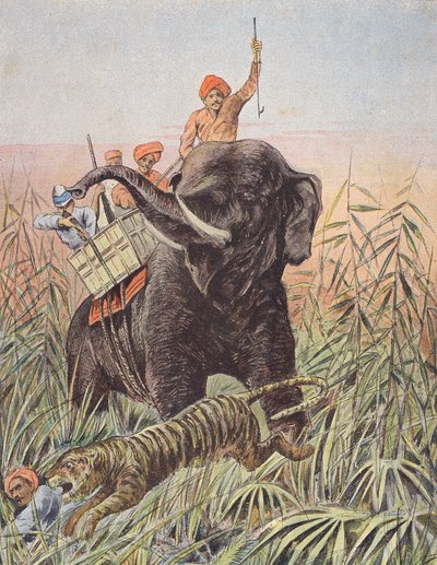 Tijgerjacht, India (kleurenlitho) door French School