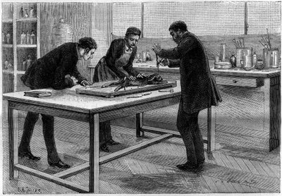 Trepanatie van een konijn in het laboratorium van Louis Pasteur (1822-1895), voor de studie van hondsdolheid, tekening door C.Gilbert naar de natuur. Gravure in "La Nature. Revue des sciences et de ses applications aux arts et à l