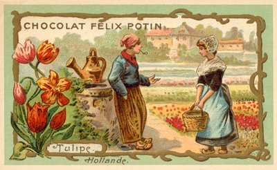Tulpen, Nederland (chromolitho) door French School