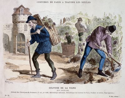 Wijnbouw in de 15e eeuw - in Costume de Paris door de eeuwen heen door French School