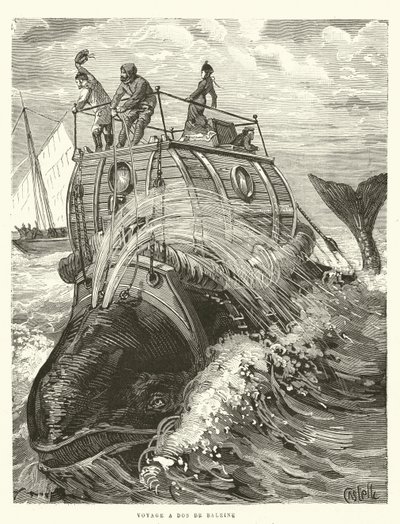 Voyage a Dos de Baleine (gravure) door French School