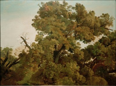 Eik door Friedrich Nerly