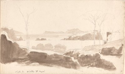 Uitzicht op de Eilanden Nisida en Capri door Friedrich Salathé
