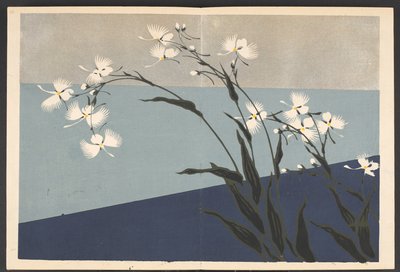 Shasei sôka môyô, Patronen van planten en bloemen uit het leven door Furuya Korin