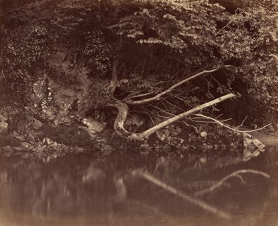 Oever van de rivier in de Vale of Neath, ca. 1855 door G. B. Gething